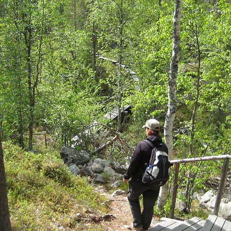 Saija Lodge Jokijarvi  Luaran gambar
