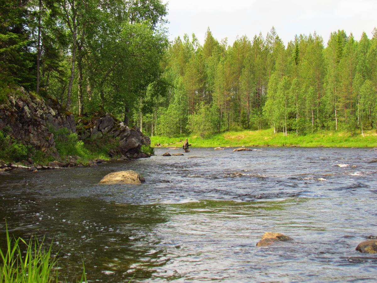 Saija Lodge Jokijarvi  Luaran gambar